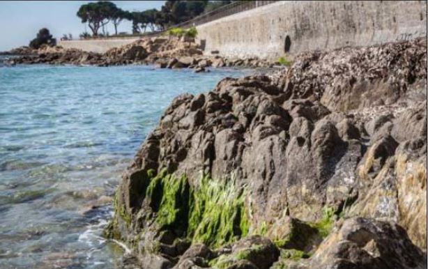 MEDITARRANIU  L'anticyclone accentue la baisse du niveau de la mer 