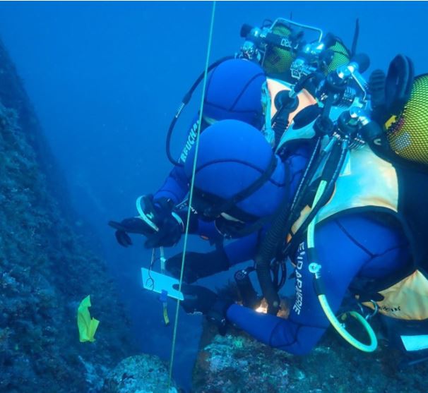 Punta di Sette Nave : un obus neutralisé par les démineurs