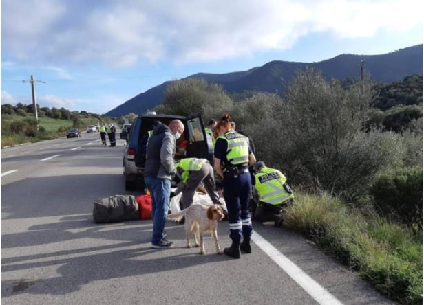 Haute-Corse : en février, 1500 contrôles de la police de l’environnement