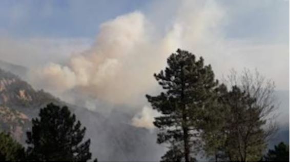 Plusieurs feux de forêt se déclarent en Haute-Corse