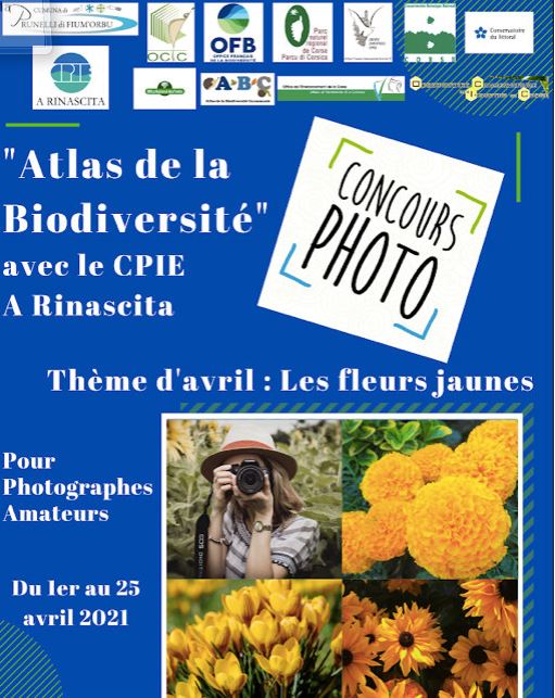 Prunelli-di-Fiumorbu : Un concours photo lancé sur le thème de la biodiversité