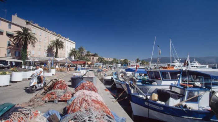 Mare latinu : L'intelligence artificielle au service de la pêche en Corse.