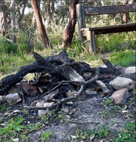 COTI CHJAVARI  Des feux de camp illégaux dans la forêt domaniale