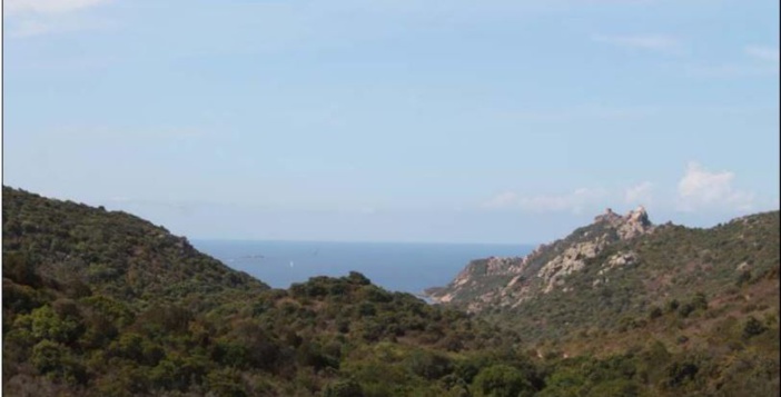 SARTÈ À Roccapina, pas de fumée sans feu pour U Levante