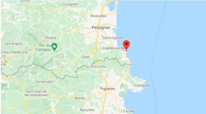 Une baleine grise perdue en Méditerranée escortée par des sauveteurs français vers l'Espagne