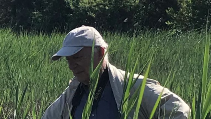 Mare latinu : Guilhan Paradis un botaniste passionné des étangs marais et lagunes de Corse.