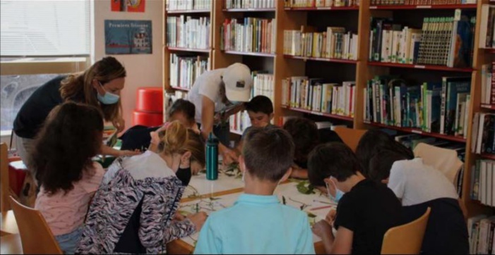 SARTÈ  Atelier "Mon petit herbier du maquis Corse" à la bibliothèque