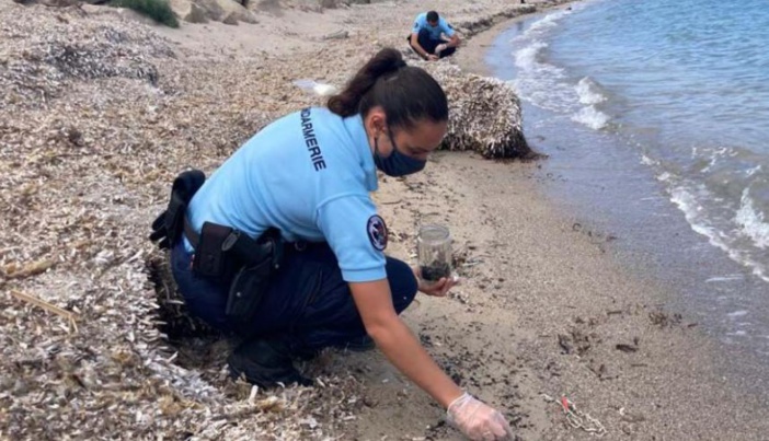 DÉGAZAGE ET PLAGES SOUILLÉES  Nettoyage et traque du pollueur
