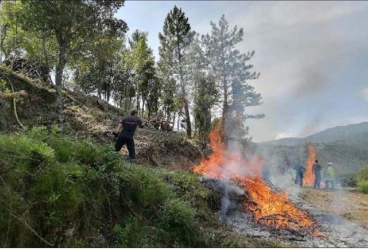 SERRA DI FIUM'ORBU Brûlage dirigé