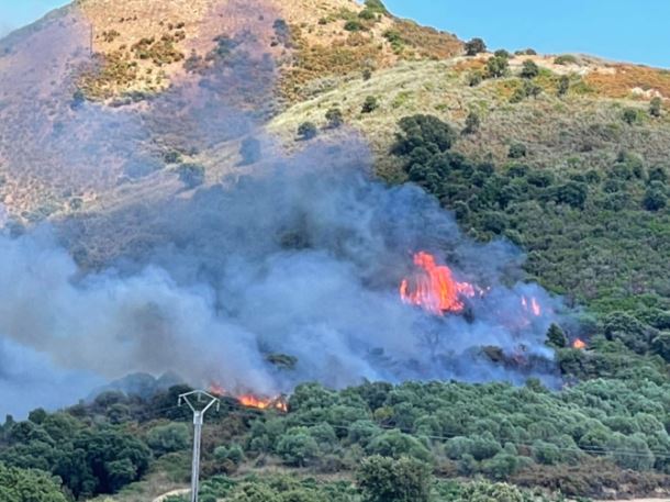 Ajaccio : six hectares brûlés à la Confina