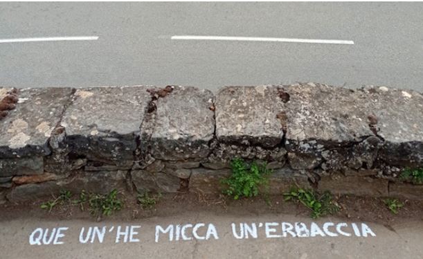 Corti in Fiori : un rendez-vous insolite pour découvrir la flore urbaine