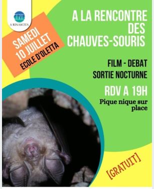 Oletta : rencontre avec les chauves-souris