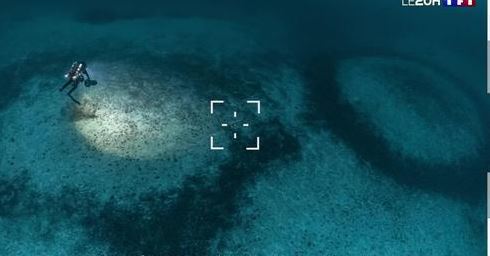 Vingt jours sous la mer : le défi scientifique de 5 plongeurs au large de la Corse