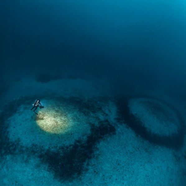 Laurent Ballesta tente de percer le mystère des anneaux de corail du Cap Corse