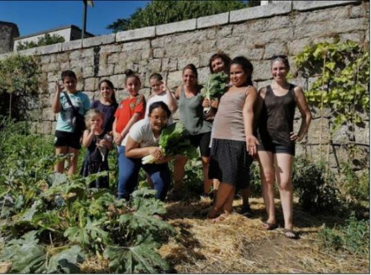  SARTÈ  Le grand retour du jardin partagé