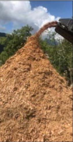 GUAGNU  Ménage en forêt