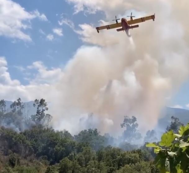 Incendie dans la plaine d'Oletta : 7 hectares détruits, une enquête ouverte