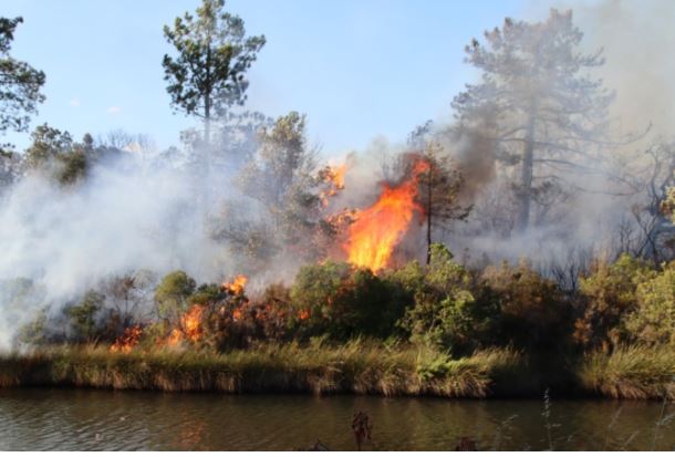 Porto-Vecchio : un incendie parcourt plus de 5 hectares