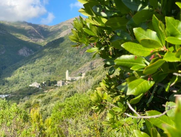 Météo corse : semaine estivale avec toujours un petit vent d’Ouest