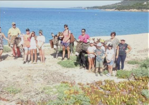 ULMETU  I mulateri et Terra d'Avenne à pied d'oeuvre sur la plage de Campiteddu