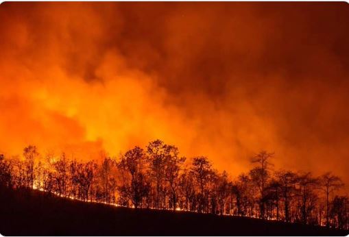 Incendies : La Sardaigne appelle à l'aide, la Corse répond