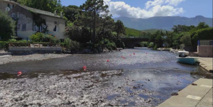 A PETRACURBARA  Un port, des posidonies et des nuisances en pagaille...