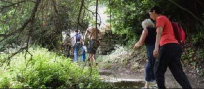 SAN-MARTINO-DI-LOTA  Une randonnée pour découvrir la culture d'antan