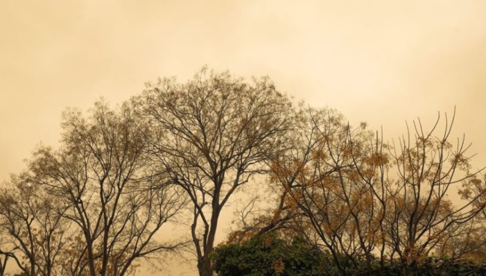 Poursuite de l'épisode de pollution atmosphérique ce lundi en Corse