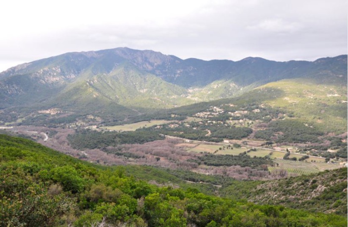 Gestion des estives, préservation et développement de la montagne : l'État ne peut pas être seul à la manœuvre selon Femu a Corsica