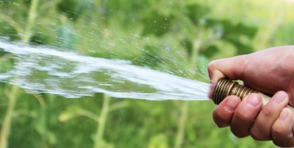 Usage de l’eau en Plaine Orientale : le "non" des producteurs de fourrage, céréaliers, maraichers et de l'interprofession laitière