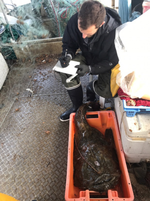 Un réseau d’observateurs scientifiques embarqués à bord des navires de la petite pêche côtière de Corse Un réseau d’observateurs scientifiques embarqués à bord des navires de la petite pêche côtière de Corse