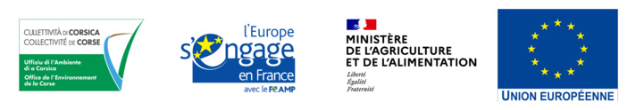 Un réseau d’observateurs scientifiques embarqués à bord des navires de la petite pêche côtière de Corse