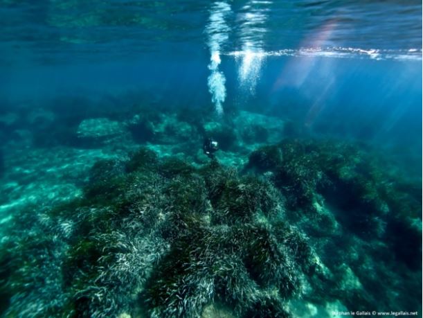 Bonifacio : des coffres flottants pour préserver la posidonie face aux grands yachts