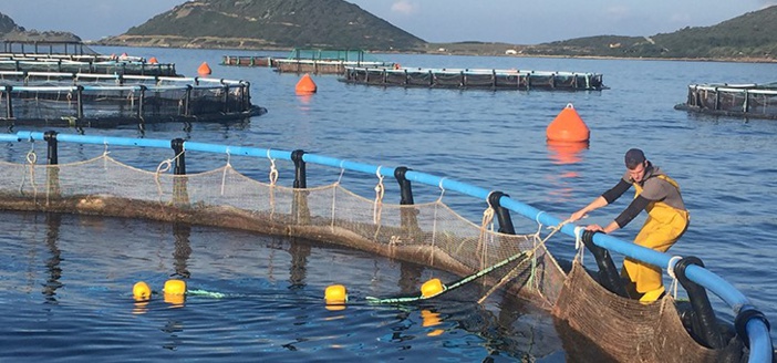 FIN DE PROGRAMMATION 2014-2020, dossiers Pêche et Aquaculture (Feamp, RCEN, de Minimis) FIN DE PROGRAMMATION 2014-2020, dossiers Pêche et Aquaculture (Feamp, RCEN, de Minimis)