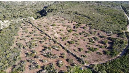 Quand les chasseurs de Haute-Corse s'investissent pour sauvegarder la biodiversité !