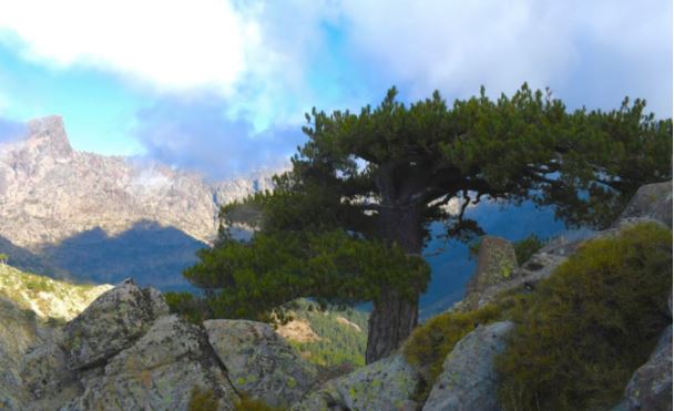 Météo de la semaine en Corse : un temps plutôt agréable mais venteux