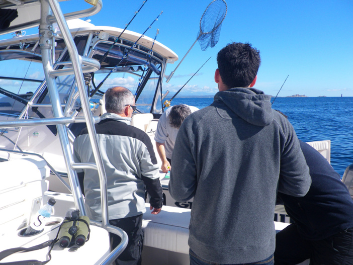 Déclaration pour la pêche maritime de loisir dans la RNBB - Saison 2025