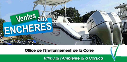 Enchères dématérialisées