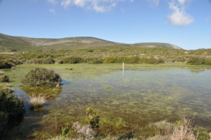 Festa di i pozzi 2022 Festa di i pozzi 2022