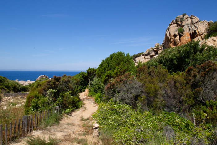 Plus de 50 km de sentiers littoraux sont entretenus par les agents (© O. Bonnenfant/OEC)