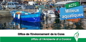 Risques émergents Risques émergents