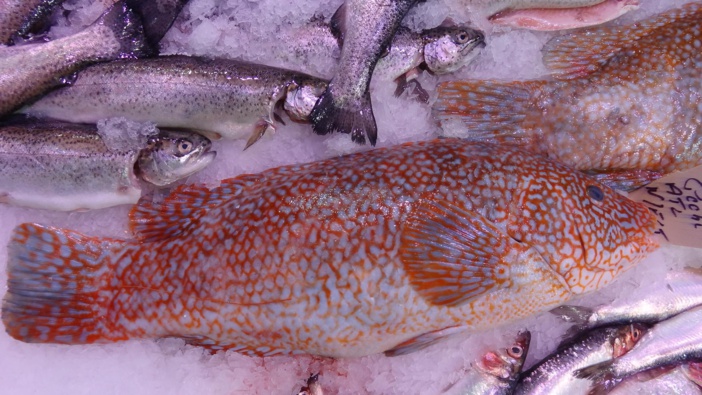 Ouverture du portail de dépôt des aides FEAMPA pour la programmation 2021 2027 Ouverture du portail de dépôt des aides FEAMPA pour la programmation 2021 2027