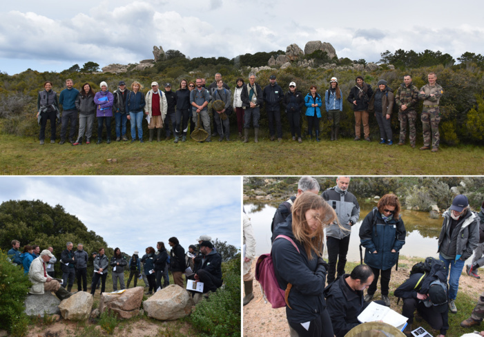 Journées d’échanges mares temporaires méditerranéennes Journées d’échanges mares temporaires méditerranéennes