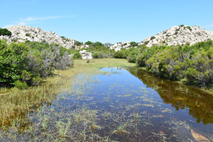 FESTA DI I POZZI 2023 FESTA DI I POZZI 2023