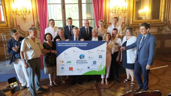 Alliance posidonia Alliance posidonia