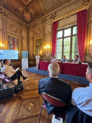 Alliance posidonia Alliance posidonia