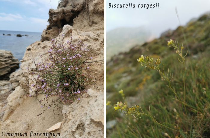 Attributions de subventions au titre du Fonds Vert 2023 Attributions de subventions au titre du Fonds Vert 2023