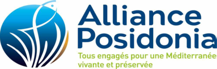 L’Office de l’Environnement de la Corse accueille l’Alliance Posidonia L’Office de l’Environnement de la Corse accueille l’Alliance Posidonia