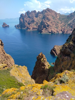 Lancement du Projet de Réserve Naturelle de Corse du Golfe de Portu