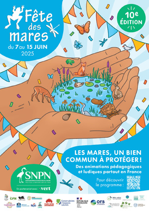 FESTA DI I POZZI 2025 FESTA DI I POZZI 2025